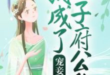 完结版《宠妾上位：我成了太子府公敌》章节目录在线阅读-虎运文学