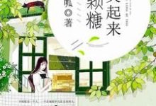 完结版《你笑起来像颗糖》在线免费阅读-虎运文学