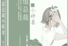 完结版《霸道总裁小娇妻》在线免费阅读-虎运文学