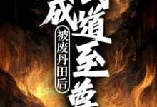 在线免费阅读被废丹田后，我成武道至尊完整小说-虎运文学