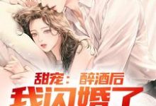 小说《甜宠：醉酒后，我闪婚了千金总裁》章节免费阅读-虎运文学