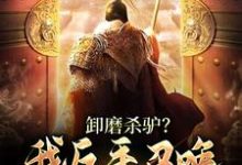 《卸磨杀驴？我反手召唤百万大军造反》小说章节在线试读，《卸磨杀驴？我反手召唤百万大军造反》最新章节目录-虎运文学