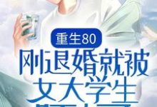 小说《重生80：刚退婚就被女大学生盯上了》在线章节阅读-虎运文学