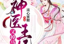 完结版《神医王妃又掉马了》章节阅读-虎运文学