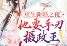 完结版《重生新婚之夜，她要手刃摄政王》章节目录在线阅读-虎运文学