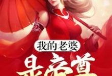 《我的老婆是帝尊》小说大结局免费试读 林傲青莲仙帝林凝玉李倾城小说-虎运文学