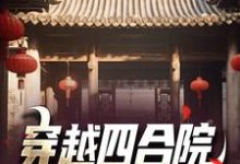 在线免费阅读穿越四合院：下乡苟到结局完整小说-虎运文学