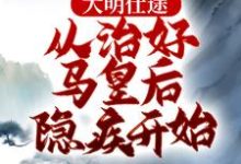 《大明仕途：从治好马皇后隐疾开始》全集免费在线阅读（李青朱元璋）-虎运文学