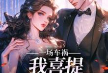 完结版《一场车祸，我喜提妻女一双？》免费阅读-虎运文学