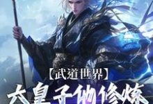 完结版《武道世界：六皇子他修炼修成逆子啦》章节阅读-虎运文学