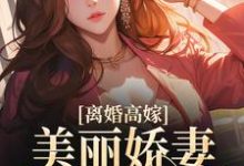 在线寻找离婚高嫁：美丽娇妻哪里逃小说的无删减版本-虎运文学