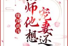 已完结小说《缘深虐浅：法师他想宠妻还俗》章节免费阅读-虎运文学