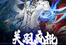 完结版《关羽疯批，强娶蔡文姬》章节阅读-虎运文学