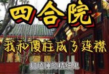 四合院：我和傻柱成了连襟儿小说的最新章节在哪里更新？免费追踪阅读-虎运文学