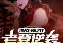 完结版《谍战：刚20，老登逆袭什么鬼？》章节阅读-虎运文学