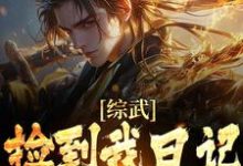 完结版《综武：捡到我日记，师娘心凉了》章节阅读-虎运文学