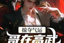 完结版《掠夺气运，哥在高武世界赢麻了》免费阅读-虎运文学