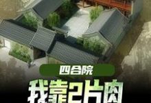 四合院：我靠2片肉俘获秦淮茹芳心王建安秦淮茹，四合院：我靠2片肉俘获秦淮茹芳心小说免费阅读-虎运文学