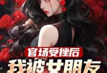 完结版《官场受挫后，我被女朋友甩了》在线免费阅读-虎运文学