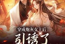 完结版《被逼婚言情文男主后，穿越女她杀疯了》章节阅读-虎运文学