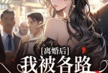 《离婚后，我被各路大佬缠上了》小说大结局免费试读 苏悦小说-虎运文学