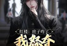 完结版《红楼：庶子咋了，我怒夺贾宝玉风头》章节目录在线阅读-虎运文学