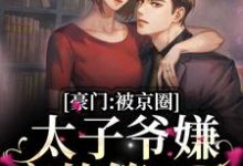 完结版《京爷别装了，小心追妻火葬场》章节目录在线阅读-虎运文学