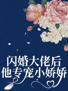 闪婚大佬后，他专宠小娇娇江软陆时晏小说在线章节免费阅读